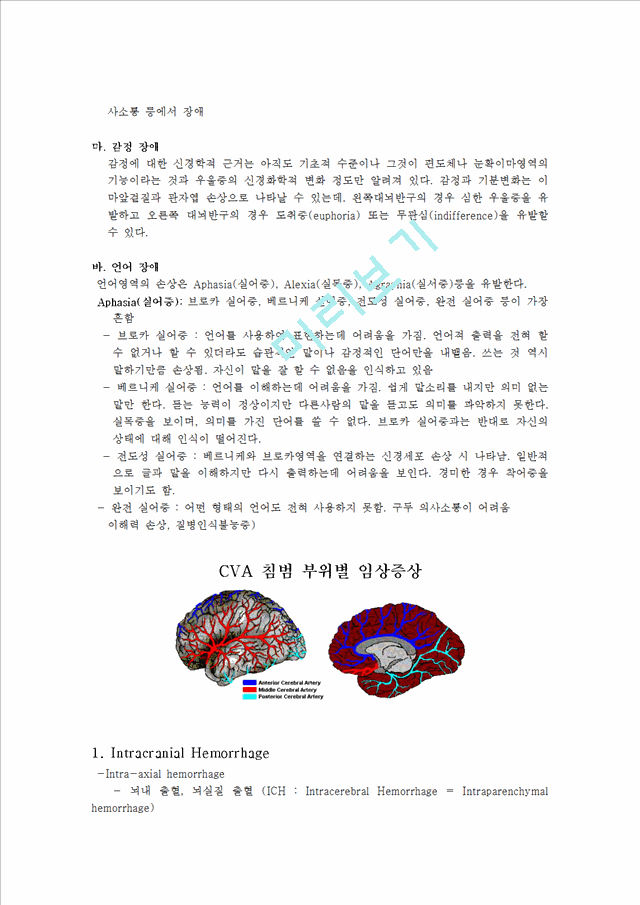 영역별 뇌 기능 및 증상   (6 페이지)